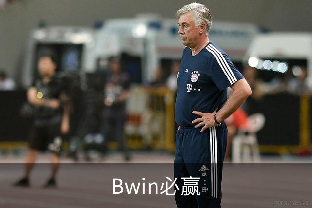 Bwin必赢公司简介